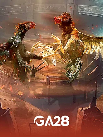 GA28