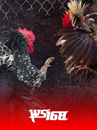 WS168